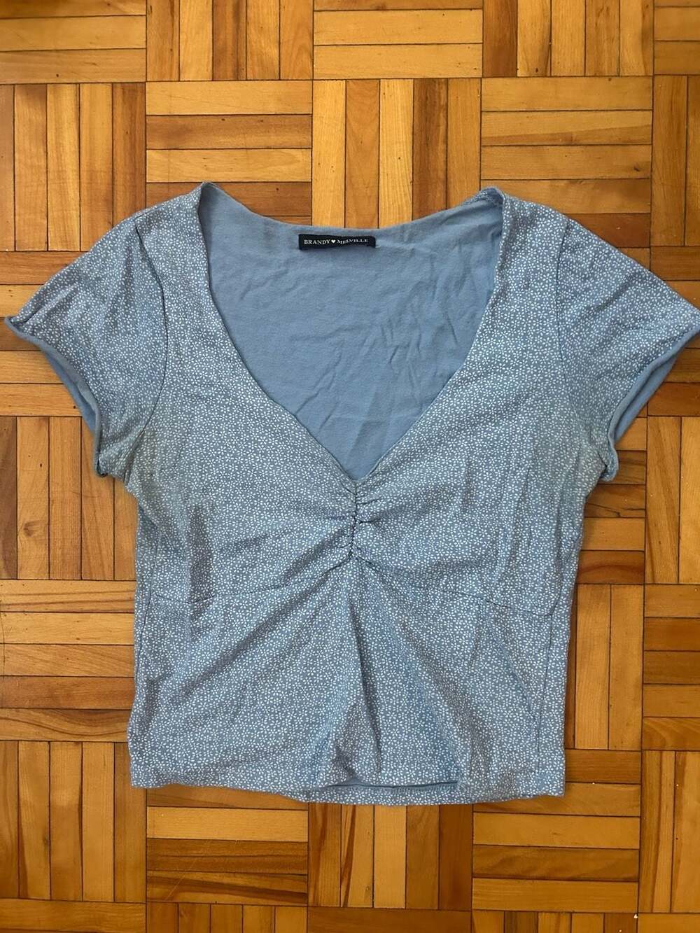 Brandy Melville Blue Floral Gina V-Neck Cinch Bust Short Sleeve Top